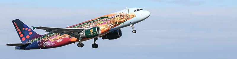 Tomorrowland Party Flight